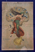 2068_Bleu_Guimet_Lyon.jpg