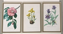 7940_Blumenstudien.jpg
