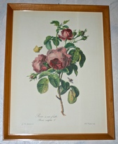 8485_IMG_8485.jpg