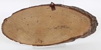 8808_Wandbild_Baumscheibe_Koenigssee_-2.jpg