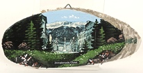 8810_Wandbild_Baumscheibe_Insbruck.jpg