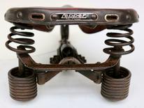 2582_Lepper_1.jpg
