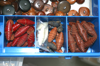 9812_2-Mix.jpg