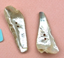 0647_Perlmutt_5.jpg