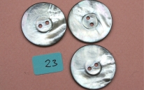 0653_Perlmutt_23.jpg