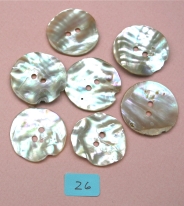 0659_Perlmutt_26.jpg