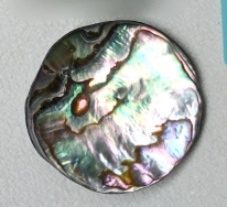 0665_Perlmutt_32.jpg