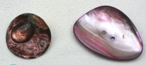 0679_Perlmutt_48.jpg