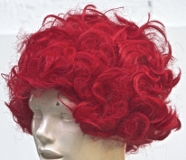 0281_Peruecke_Clown_2-_Stck.jpg