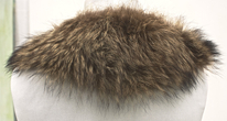 0859_Kragen_Waschbär_ungefüttert-1.jpg
