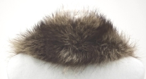 0864_Kragen_Waschbär_ungefüttert_-2.jpg
