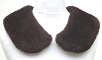 0874_Kragen_Nutria.jpg