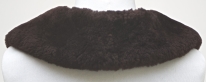 0874_Kragen_Nutria_-2.jpg