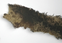 3334_Kragen_Fuchs_Kunstfell-2.jpg